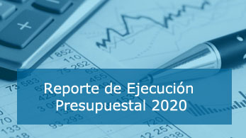 Reporte de Ejecución Presupuestal 2020